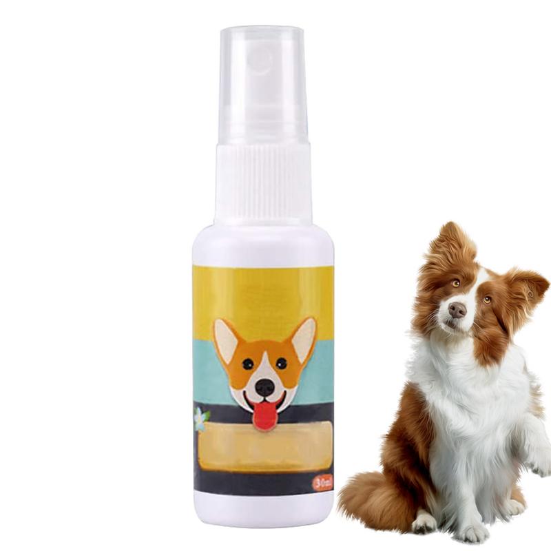 Travel Accessories For Train - 1PCS Dog Potty Train Spray Portable