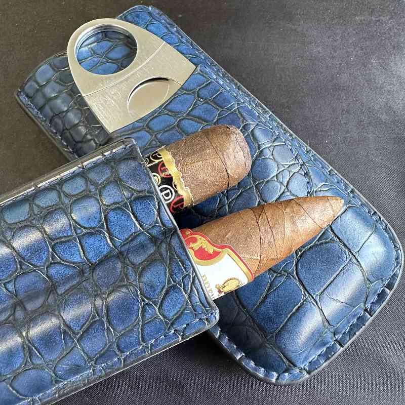 Cigar Tube 2 Slots Case with C - đánh giá và giá Travel Accessories Youtube