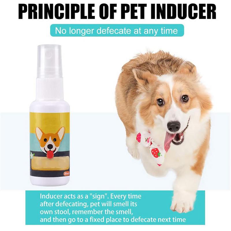 1PCS Dog Potty Train Spray Por - đánh giá và giá Travel Accessories For Train